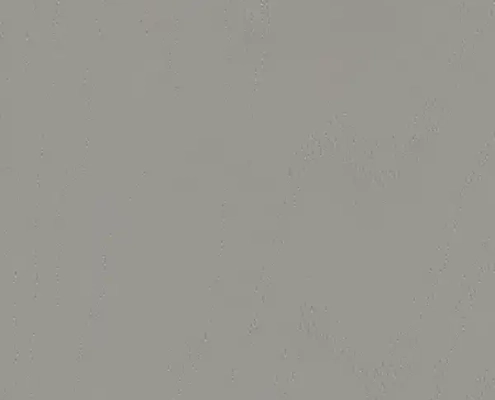 Самоклеящаяся декоративная пленка из ПВХ серого цвета под березу для встроенных стеллажей ED211